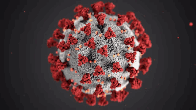 a close up of a virus with red and white spots on it