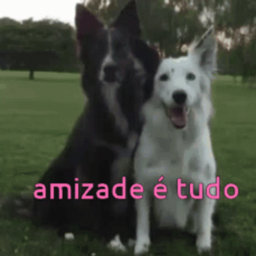 Amizade Dogs GIF - Amizade Dogs Friends GIFs