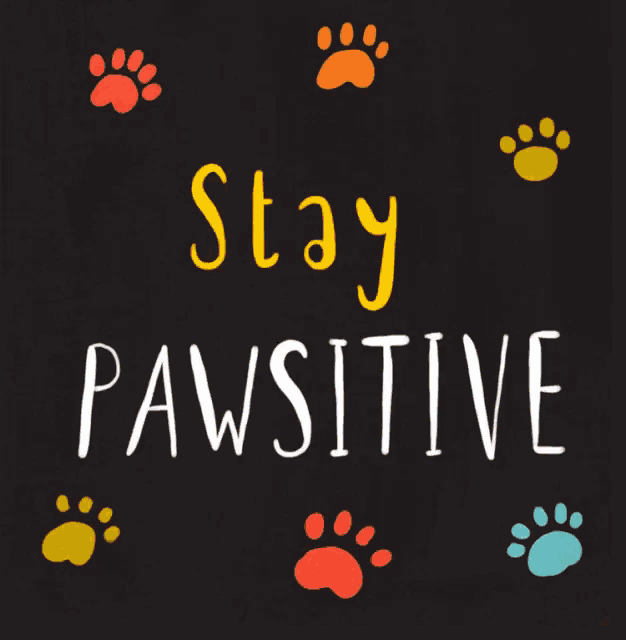 a poster that says stay pawsitive with paw prints around it