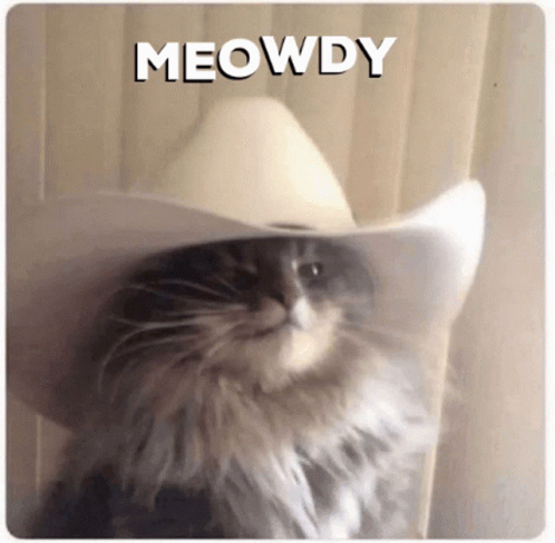 Meowdy Howdy Cat GIF - Meowdy Howdy Cat Howdy GIFs