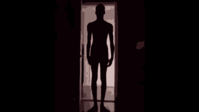a silhouette of a man standing in a doorway .