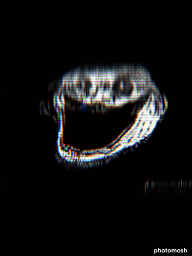 a black and white image of a face with the word photomosh on the bottom right
