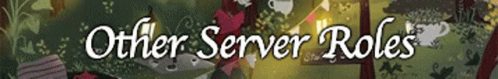 Server Roles GIF - Server Roles GIFs
