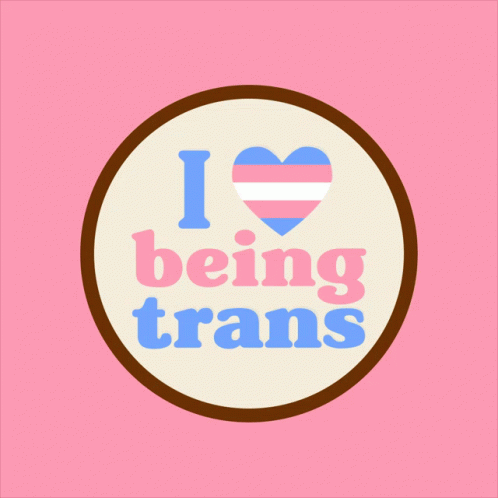 Trans Pride Trans Day Of Visibility GIF - Trans Pride Trans Day Of Visibility Trans GIFs