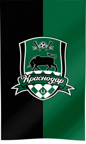 a green and black flag with a bull and the word kpachogap