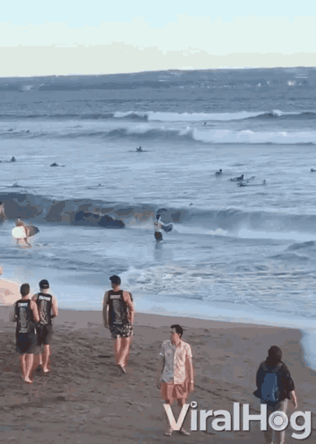 a group of people walking on a beach with the words viralhog in the upper right corner