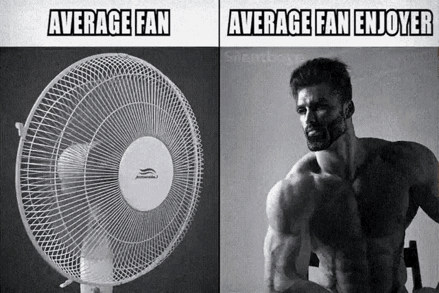 Fan Average Fan Enjoyer GIF - Fan Average Fan Enjoyer GIFs