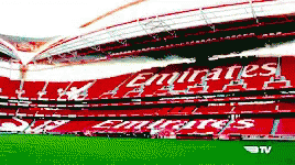 Slb Sl Benfica GIF - Slb Sl Benfica Benfica GIFs