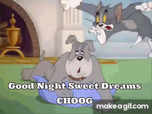 Good Night Sweet Dreams Choog GIF - Good Night Sweet Dreams Good Night Choog GIFs