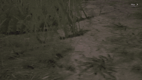a close up of a man 's face with a beard
