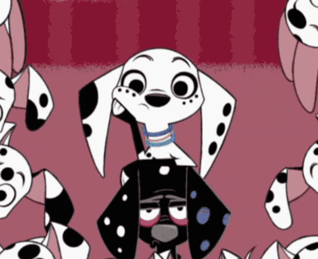 a dalmatian dog with a blue collar is standing next to another dalmatian dog