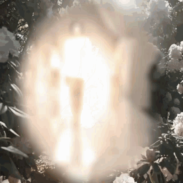 a blurred image of a person standing in a garden