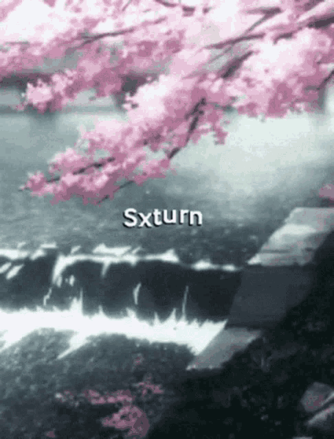 a picture of a cherry blossom tree with the word sxturn in the corner