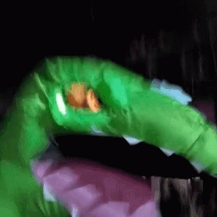 Raptor Party GIF - Raptor Party GIFs
