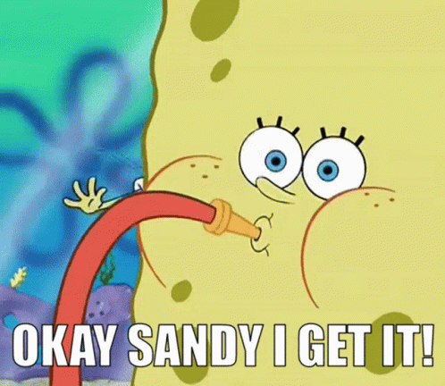 Okay Sandy I Get It Spongebob GIF - Okay Sandy I Get It Spongebob Enough GIFs