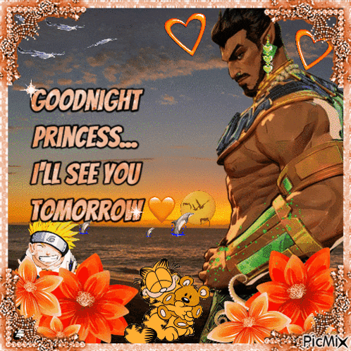 a picture of a man with the words goodnight princess i 'll see you tomorrow on it