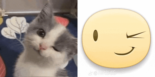 a picture of a cat next to a smiley face