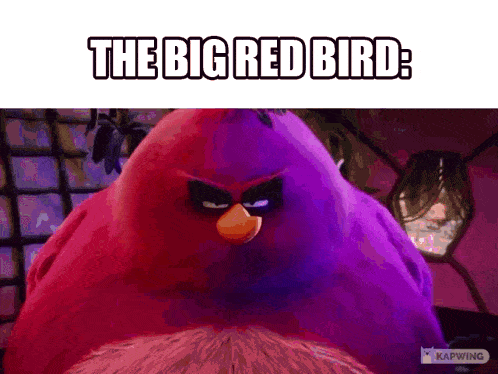 The Big Red Bird Terrence GIF - The Big Red Bird Terrence Terrence Angry Birds GIFs
