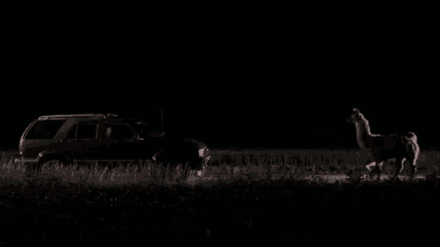 a deer is standing next to a red suv in the dark