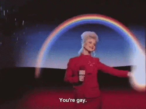 Youre Gay Rainbow GIF - Youre Gay Rainbow Point GIFs