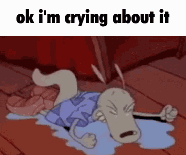 Rocko Crying About It GIF - Rocko Crying About It Cry About It GIFs