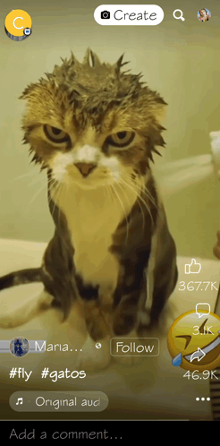 Not Pleased GIF - Not Pleased GIFs