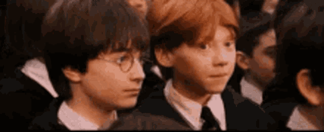 harry potter and ron weasley are sitting in a crowd of people .