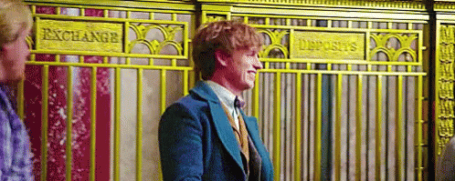 Fantastic Beasts Fantastic Beasts And Where To Find Them GIF - Fantastic Beasts Fantastic Beasts And Where To Find Them Laugh GIFs