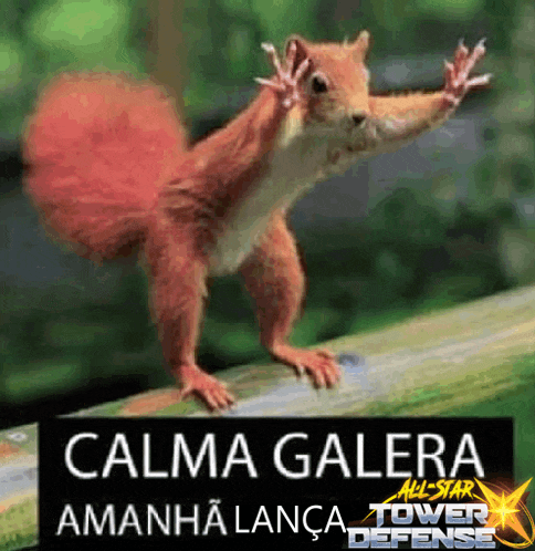 a red squirrel is standing on a wooden post with the words " calma galera " written below it