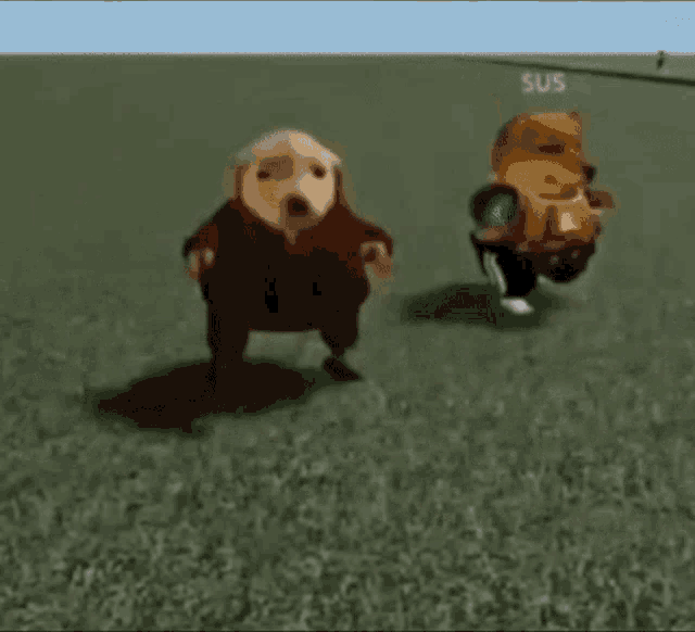 a couple of dogs standing next to each other on top of a lush green field .