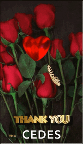 a bouquet of red roses with a butterfly and the words thank you cedes