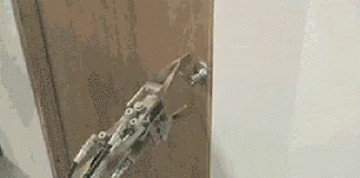 Robot Opens Door GIF - Robot Opens Door Fail GIFs