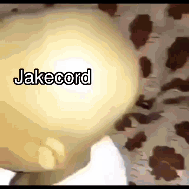 Based Lillicord GIF - Based Lillicord Jakecord GIFs