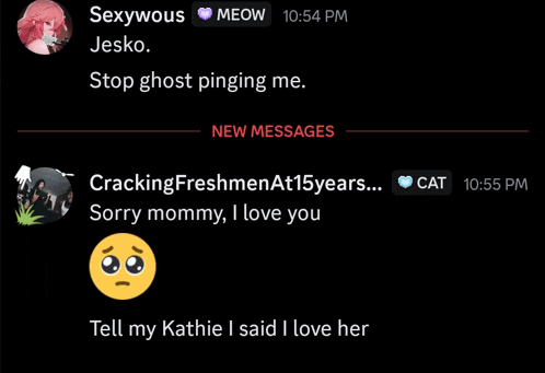 a screenshot of a chat with sexywous jesko and crackingfreshmenat15years