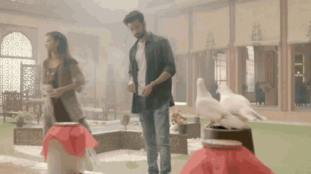 a man and a woman are standing in a room with pigeons on a table