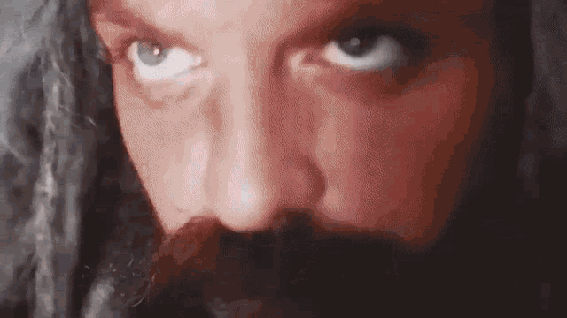a close up of a man 's face with a beard and a wig .