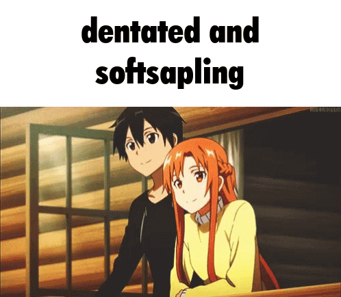 a picture of a boy and girl with the words dentated and softsapling above them