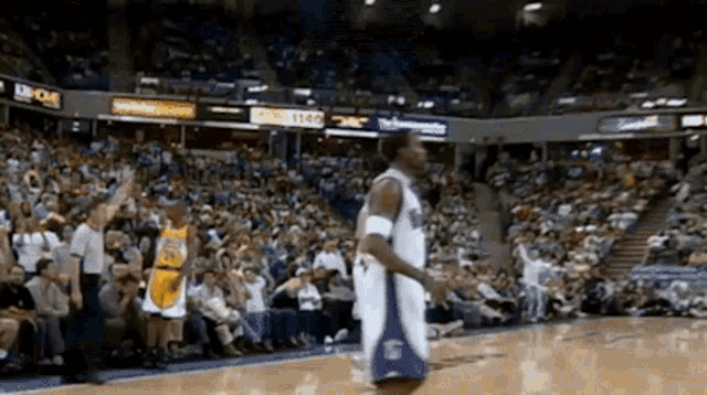 a basketball player wearing a number 24 jersey stands on the court