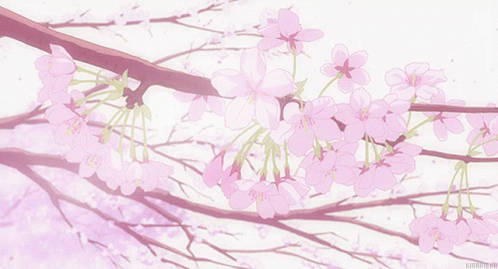 Flowers Anime GIF - Flowers Anime Soft GIFs