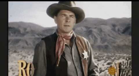 a man wearing a cowboy hat and a sheriff 's badge is standing in the desert