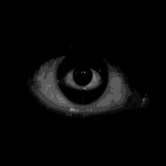 a black and white photo of a human eye