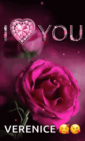 a pink rose with the words " i love you " above it
