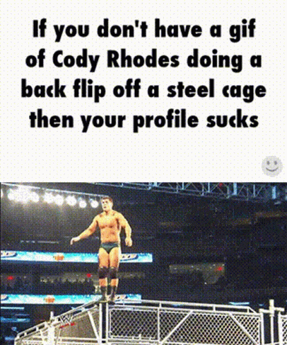 Cody Rhodes Wwe GIF - Cody Rhodes Wwe Steel Cage GIFs