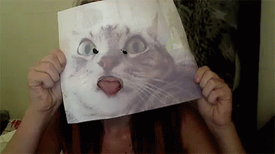 Body Is Ready GIF - Cat Tongue GIFs