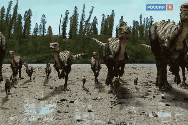 Dinosaurs Stampede GIF - Dinosaurs Stampede Run GIFs
