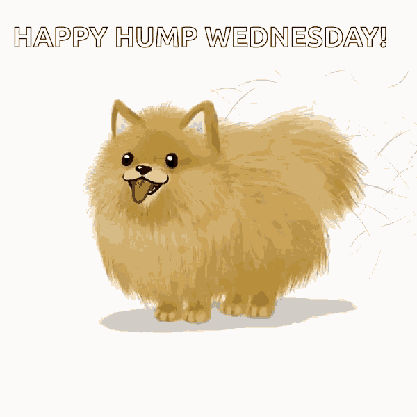 a happy hump wednesday card with a pomeranian running