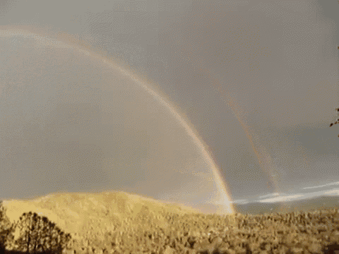 Double Rainbow GIF - Double Rainbow GIFs