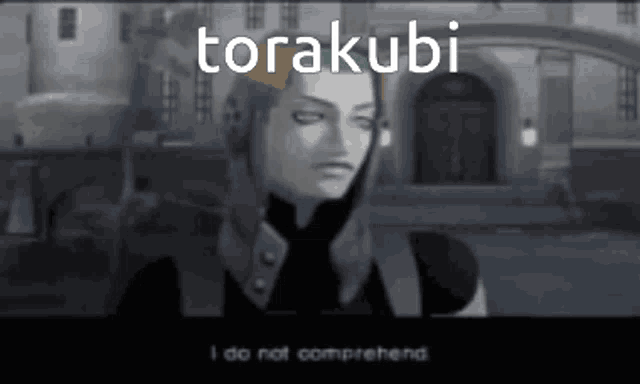 a screenshot of a video game with the name torakobi on the screen