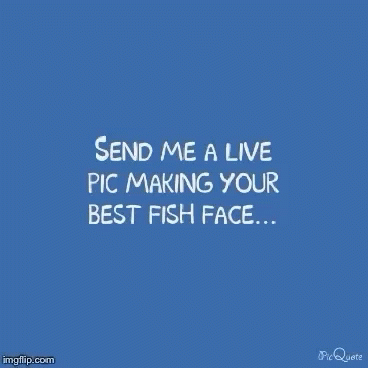 Send Me A Pic Fish Face GIF - Send Me A Pic Fish Face Silly GIFs