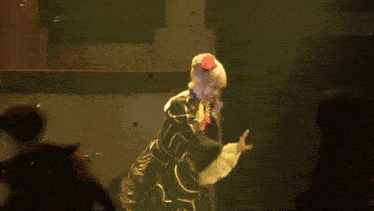 a woman with a red flower in her hair is on stage